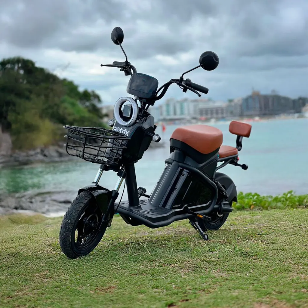Scooter WD-2 Gotrix